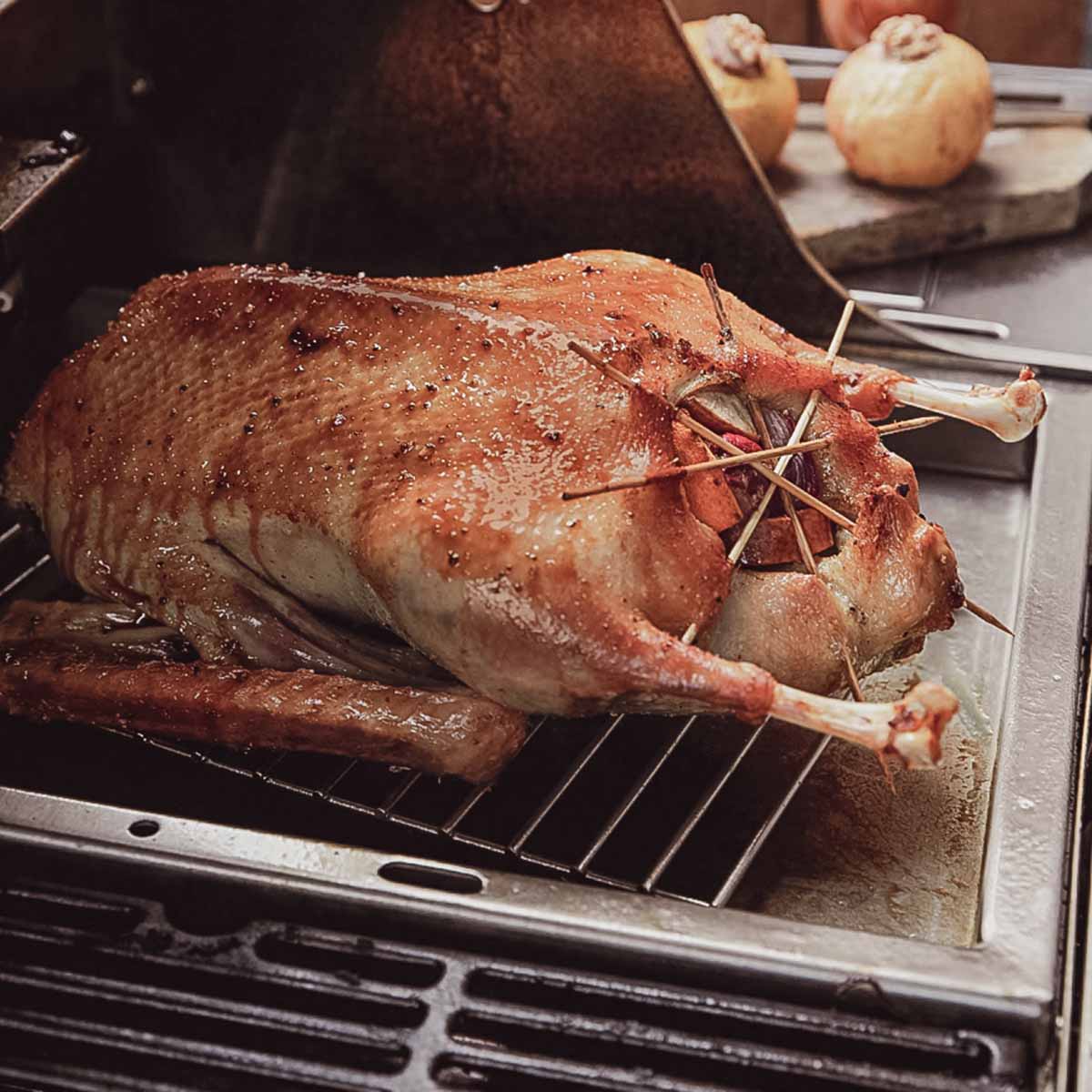 SANTOS Einsatzpfanne für Broil King Regal / Imperial & Weber Genesis ll Produktbild SANTOS Einsatzpfanne für Broil King Regal / Imperial & Weber Genesis ll Produktbild