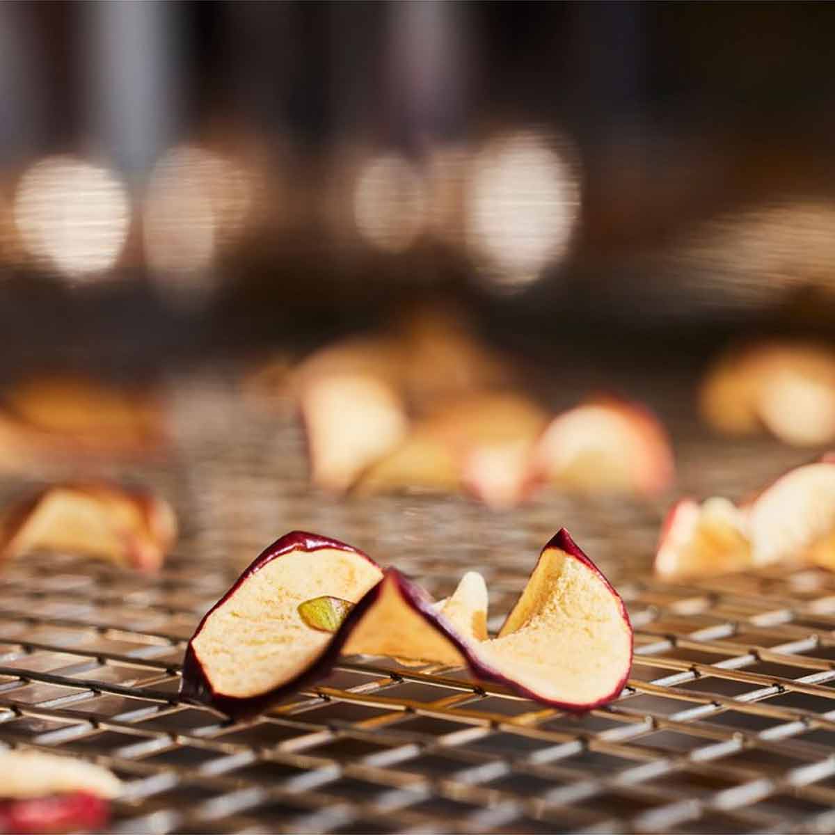 Borniak Feinmaschiger Edelstahl Gitterrost für 70er Serie Räucheröfen