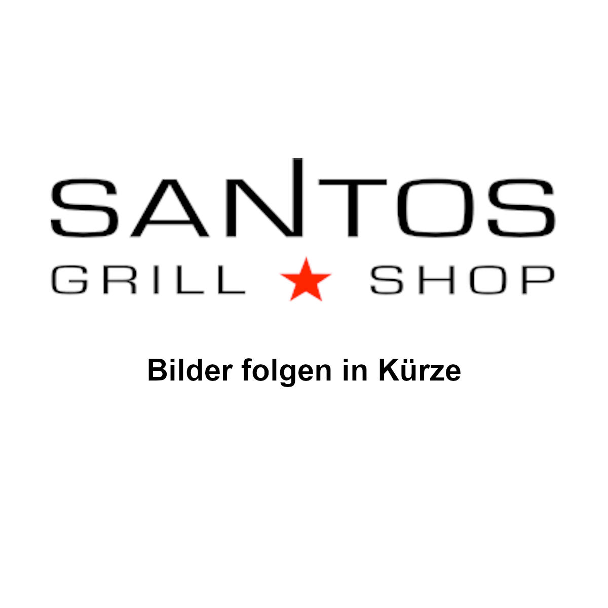 SANTOS Gussgrillrost 48 x 31cm für E-418 2er Set