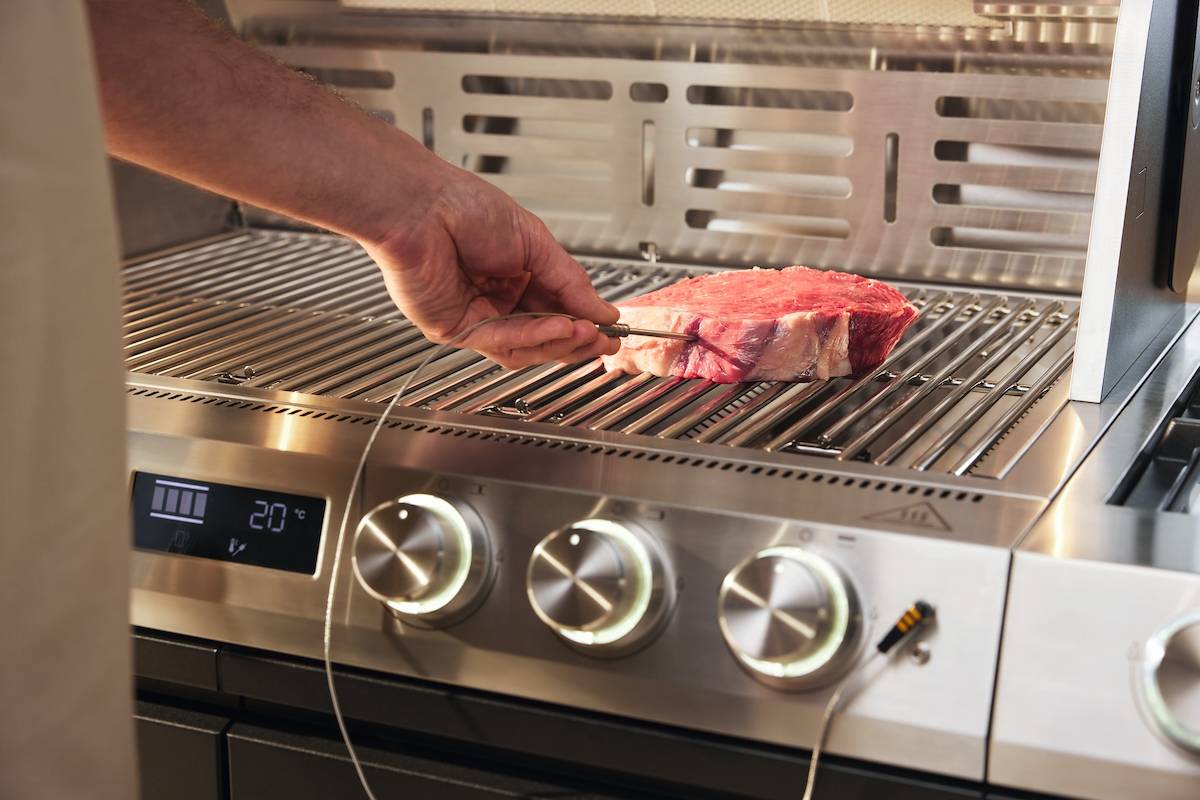 Miele FoodProbe3+4 (Kerntemperaturfühler, 2 pieces) – Kerntemperaturfühler
