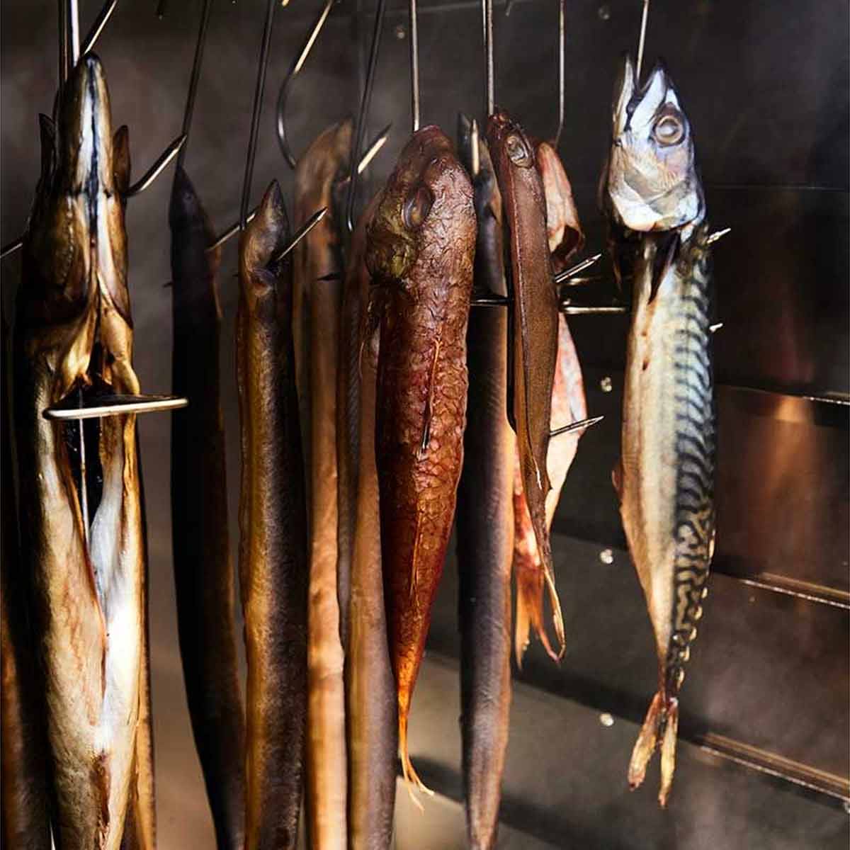 Fische Räuchern im Borniak Räucherofen