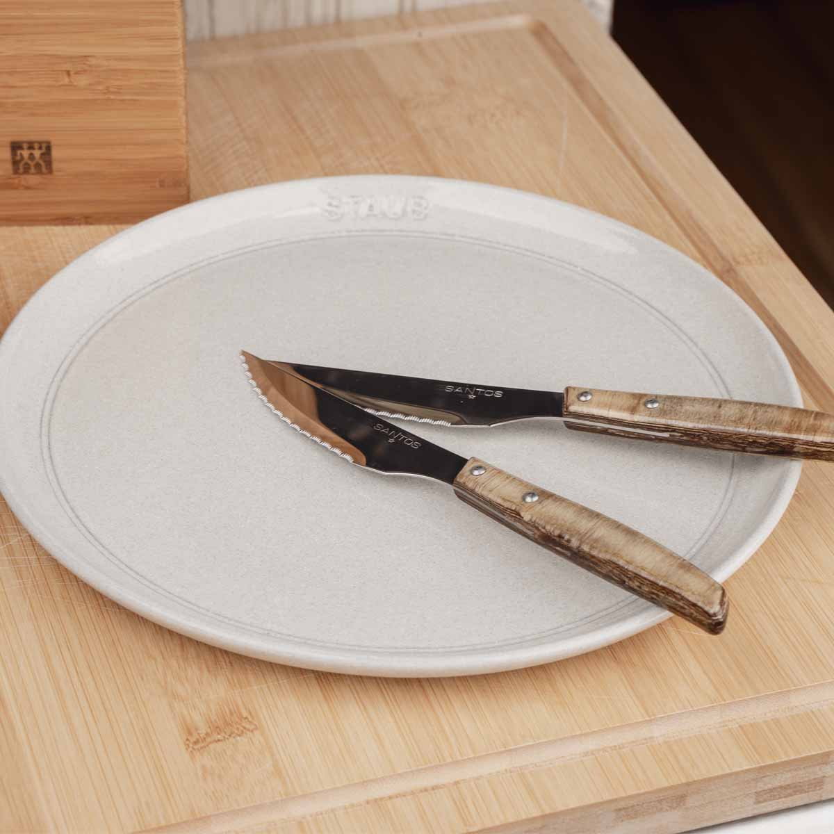 SANTOS Steakmesser Set Edelstahl | 4-teilig