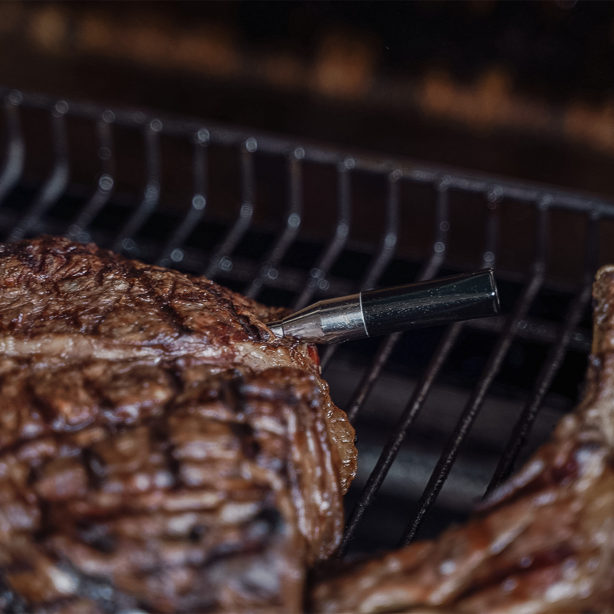 Messfühler des SANTOS Bluetooth Grillthermometer Pro, Messfühler in Steak